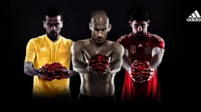 Alves, Robben et Podolski