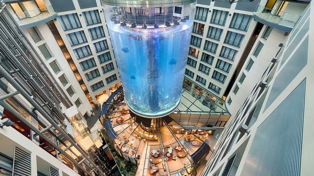 L'aquarium avant l'explosion