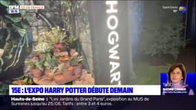 Paris: l'exposition Harry Potter commence ce vendredi 