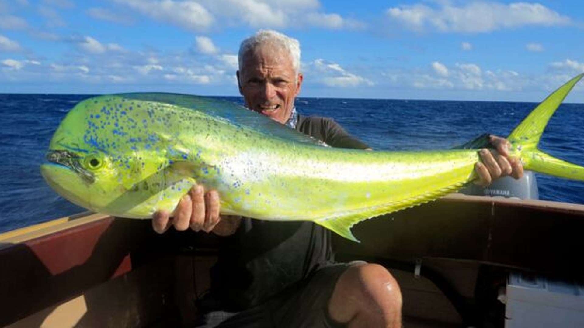 RIVER MONSTERS