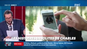 Pourquoi les inscriptions sur les sites de rencontres explosent pendant le premier week-end de janvier