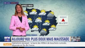 Météo Paris Île-de-France du 20 mai : Ciel gris et averses au programme