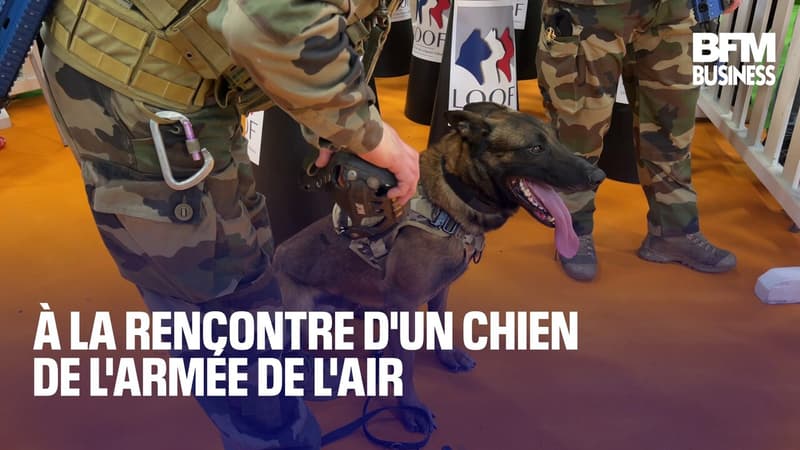 À la rencontre d'un chien de l'armée de l'Air