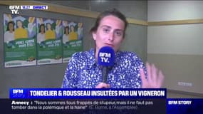 Marine Tondelier (EELV) sur son altercation avec des viticulteurs: "Je ne laisserai pas des gens dire que je suis contre l'agriculture"