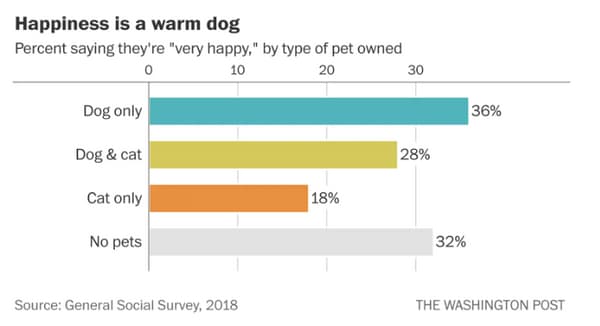 Selon une étude, les propriétaires de chiens seraient plus heureux que ceux qui possèdent un chat