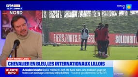 LOSC: Lucas Chevalier chez les Bleus, les internationaux lillois 