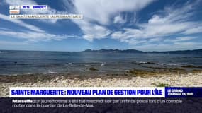 Sainte-Marguerite: nouveau plan de gestion pour l'île