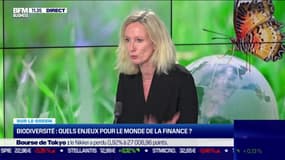 Biodiversité: quels enjeux pour le monde de la finance ?