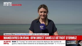 Détroit d'Ormuz: des exercices militaires iraniens "à tirs réels" menés aujourd'hui