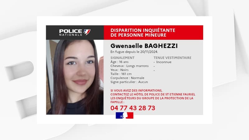 L'appel à témoins émis par la police le 17 décembre 2024 pour retrouver Gwenaelle, disparue dans la Loire