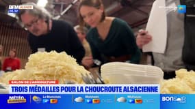 Salon de l'agriculture: trois médailles pour la choucroute alsacienne au concours général agricole