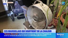 Ces marseillais qui souffrent de la chaleur 