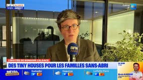 Tiny houses à Strasbourg: l'adjointe à la maire réagit à certains propos "choquants" des riverains