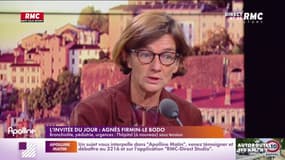 Agnès Firmin-Le Bodo : "Nous manquons de médecins" 