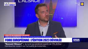 Foire européenne de Strasbourg: le parc des expositions, un lieu idéal, d'après le directeur de la foire