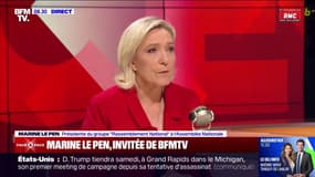 Ministres à l'Assemblée: Marine Le Pen dénonce une "violation de l'esprit de la Constitution"