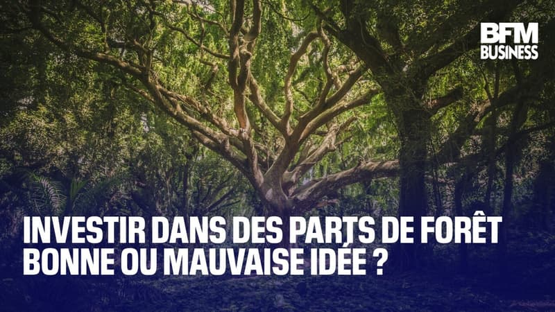 Investir dans des parts de forêt, bonne idée?