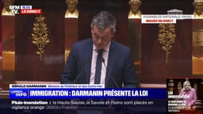 Gérald Darmanin, ministre de l'Intérieur, sur le projet de loi immigration: "L'immigration est une des grandes questions de notre temps"