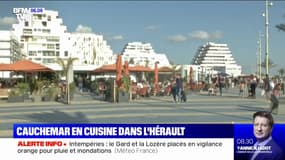 Dans l'Hérault, 40% des hôtels et restaurants présentent des "manquements"