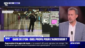 Story 2 : Gare de Lyon, il voulait "tuer des gens" - 05/02