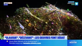 "Un peu décevant", "surprenant"... Certaines œuvres, parmi celles dénonçant la pollution plastique, intriguent à la Fête des lumières