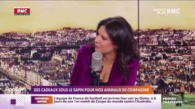 Les histoires de Charles Magnien  : Des cadeaux sous le sapin pour nos animaux de compagnie - 17/11