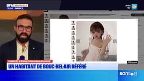 Bouc-Bel-Air : un homme interpellé après avoir acheté une poupée à caractère pédopornographique