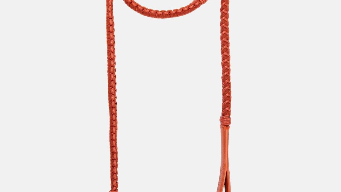 Laisse pour chien, Loro Piana Laisse pour chien, Loro Piana