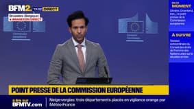 Syrie : l'Union européenne "très inquiète" de possibles évasions de jihadistes