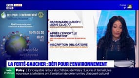 Seine-et-Marne: un défi pour l'environnement à la Ferté-Gaucher