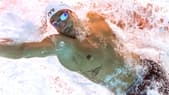 Florent Manaudou lors de la finale du 50 mètres nage libre des Jeux de Rio en 2016