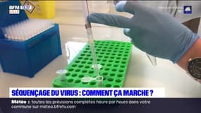 Covid-19: comment fonctionne le séquençage du virus dans les laboratoires?