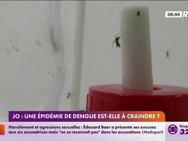 JO : une épidémie de dengue est-elle à craindre ?