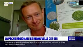 Hauts-de-France: la pêche régionale se renouvelle cet été
