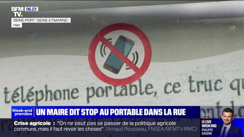 Seine-et-Marne: un maire organise un référendum pour interdire le téléphone portable dans l'espace public