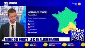Les Bouches-du-Rhône placées en vigilance jaune canicule et orange pour les feux de forêt