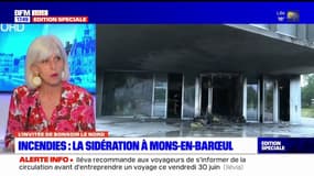 "La désolation": la députée Brigitte Liso réagit après les violences urbaines dans le Nord