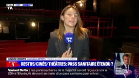 Restaurants, cinémas, théâtres: vers l'extension du pass sanitaire ?