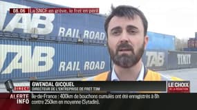 Avec la grève à la SNCF, cette entreprise de fret est en péril