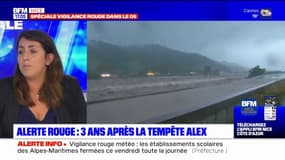 Intempéries: les habitants des Alpes-Maritimes inquiets, trois ans après la tempête Alex