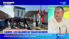 "Une grande colère": les salariés de Thalès en grève à Cannes