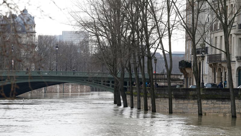 La Seine à Paris, le 28 janvier 2018.