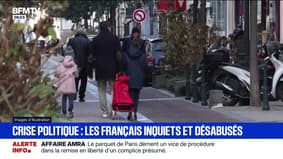 Crise politique : 82% des Français jugent la séquence politique actuelle comme "un spectacle navrant", selon un sondage