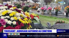 Toussaint: arrosage autorisé au cimetière