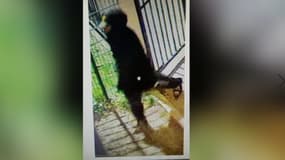 Le principal suspect du quintuple homicide de Meaux au moment de son départ de la scène de crime, le 24 décembre 2023