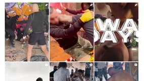 Régulièrement, des combats clandestins sont organisés en France et notamment dans les Alpes-Maritimes.