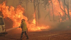 Un pompier tente d'éteindre un feu à Wooloroo, près de Perth, le 2 février 2021. 