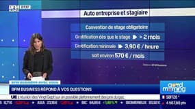 BFM Business avec vous : Un auto-entrepreneur peut-il prendre un stagiaire ? - 07/10