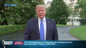 Donald Trump est attendu au Royaume-Uni pour une visite d'Etat de trois jours 