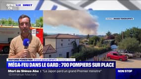 Méga-feu dans le Gard: 700 pompiers mobilisés, l'accès aux massifs forestiers interdit jusqu'à lundi 